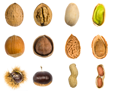 nut fruit isolated composition